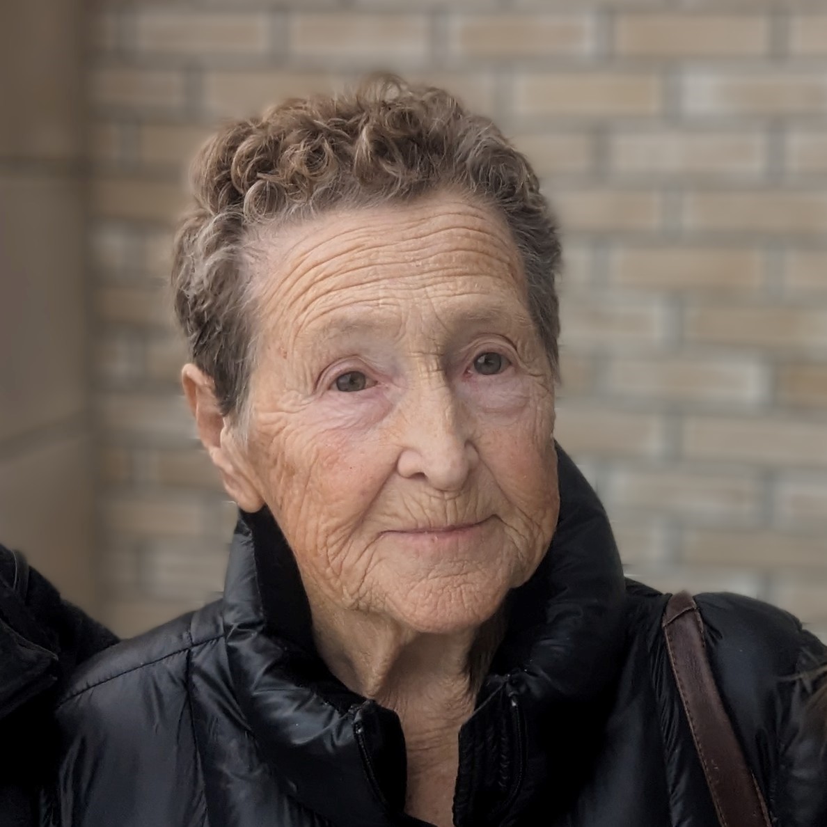 Shirley Ann Pasichnyk